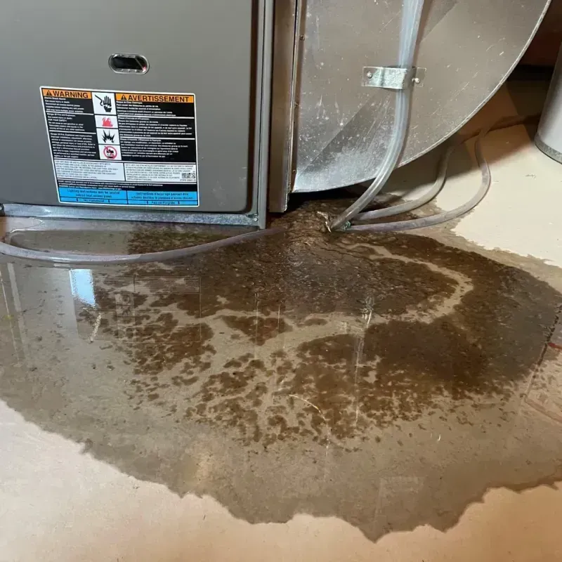 Appliance Leak Cleanup in York, SC